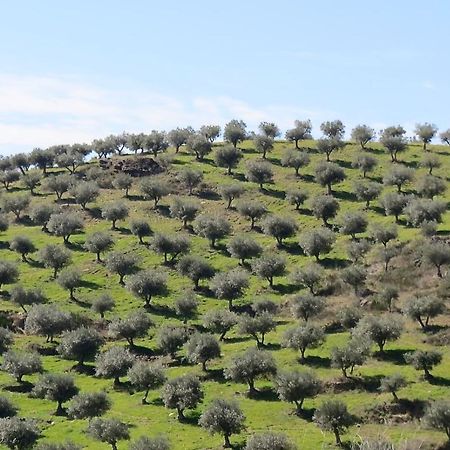 Agroturismo Casal De Castro Villa Avantos Luaran gambar